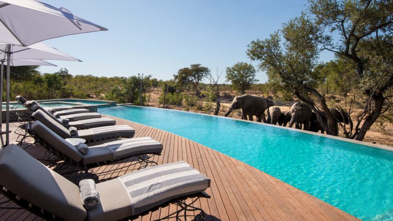 andBeyond Ngala Safari Lodge, Kruger, South Africa - Big Five Game Viewing and Safari Holiday for Families in Kruger National Park - best lodges for families with young children